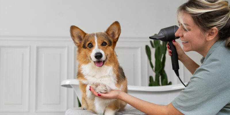 Hond met een vrouw bij een trimsalon